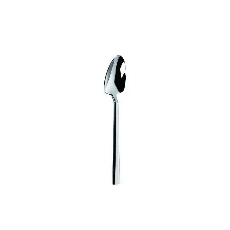 Stainless Steel Tea Spoon, Long Straight Handle Small Coffee Spoon  18/0 Stainless Steel